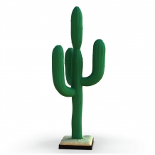 Lucky Luke - Cactus - Collection Bang Bang!